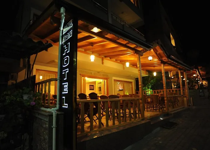 모텔 Thermal Aydin 얄로바