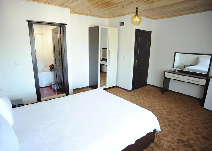 Thermal Aydin